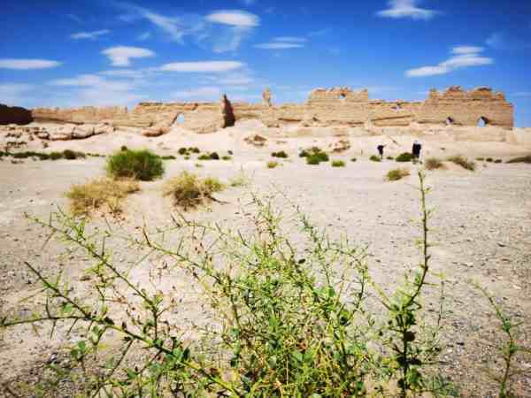 春游敦煌研學旅游