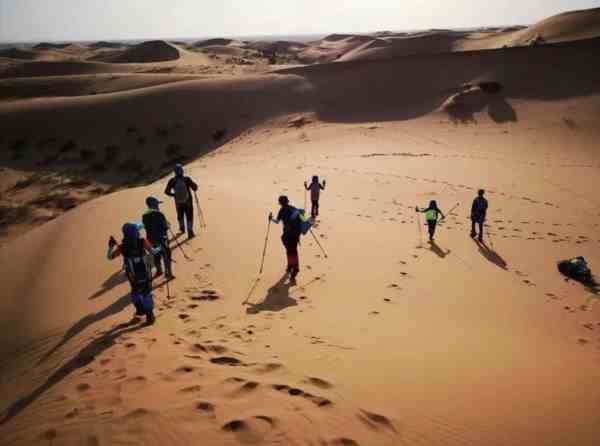 古生物+歷史+天文+地質+徒步8天7晚研學體驗
